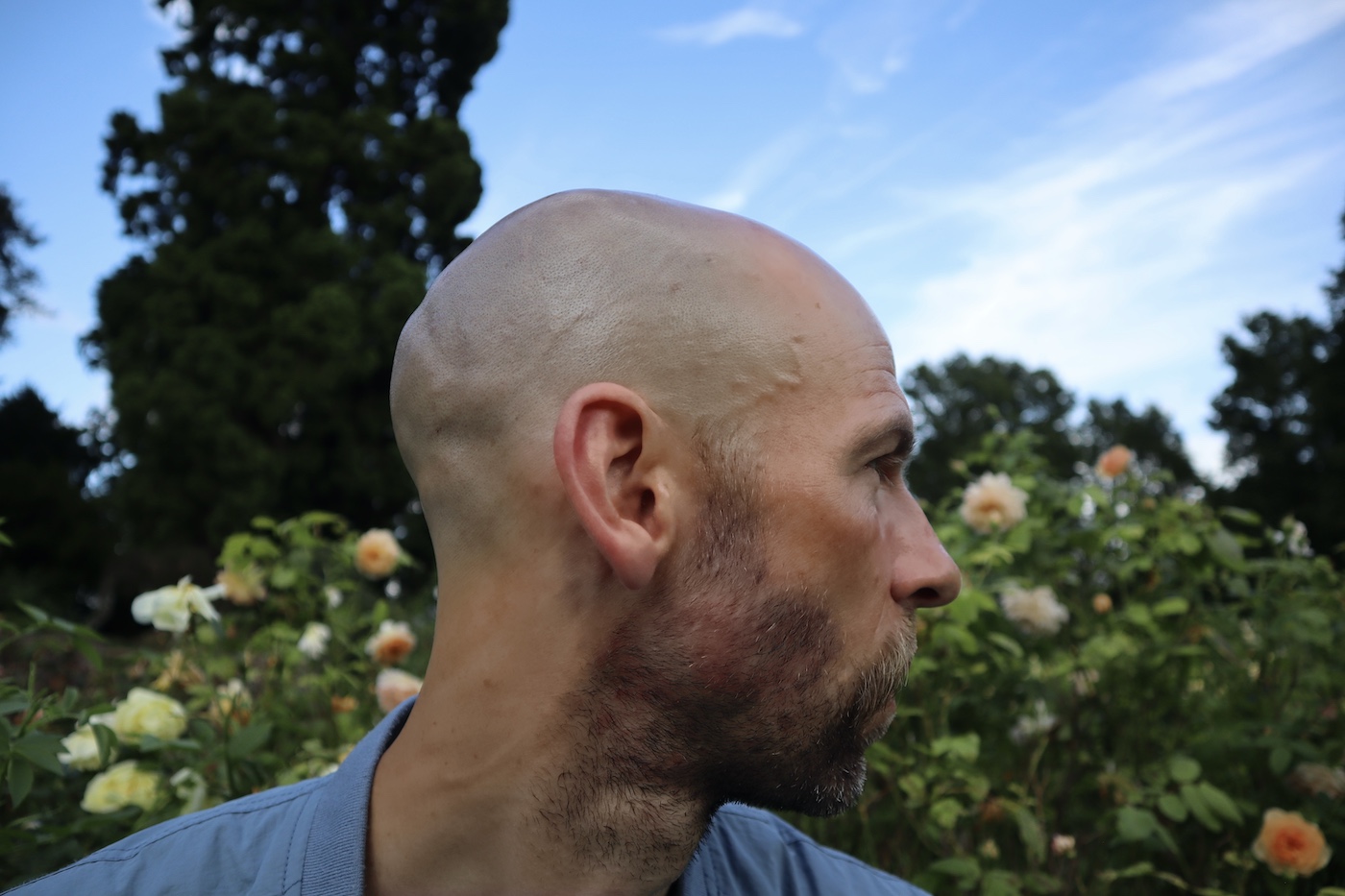 Jake Morgan looking sideways in a rose garden at dusk